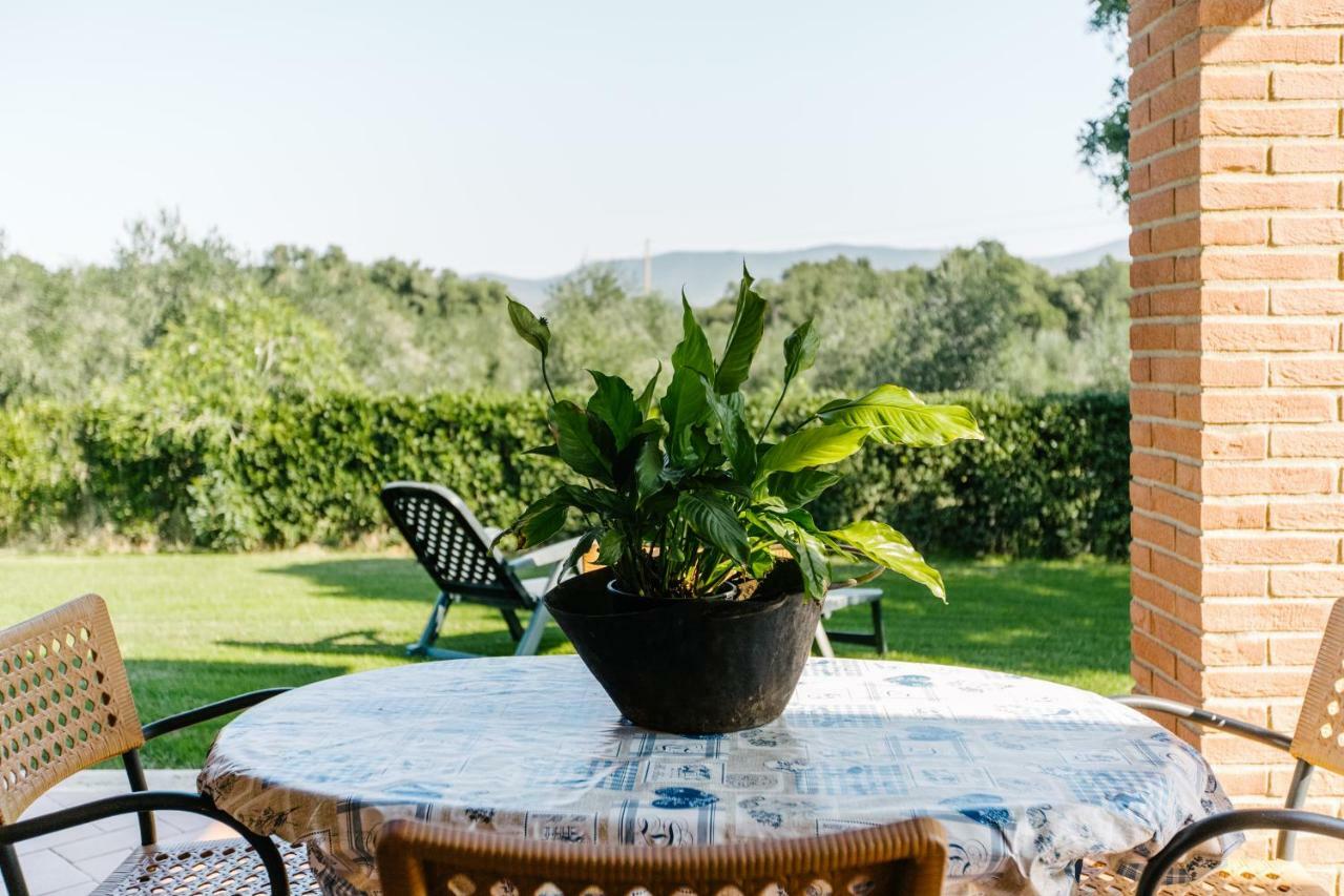 Agriturismo Casa Andreina Castiglione della Pescaia Exteriör bild