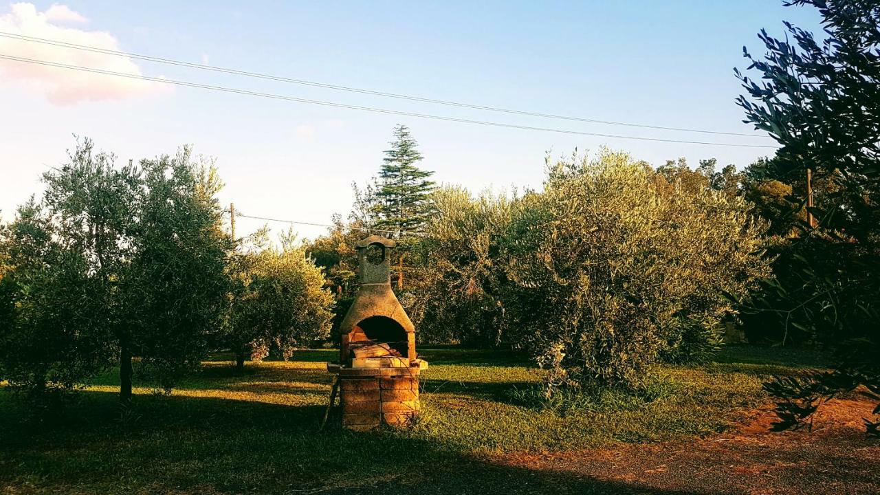 Agriturismo Casa Andreina Castiglione della Pescaia Exteriör bild
