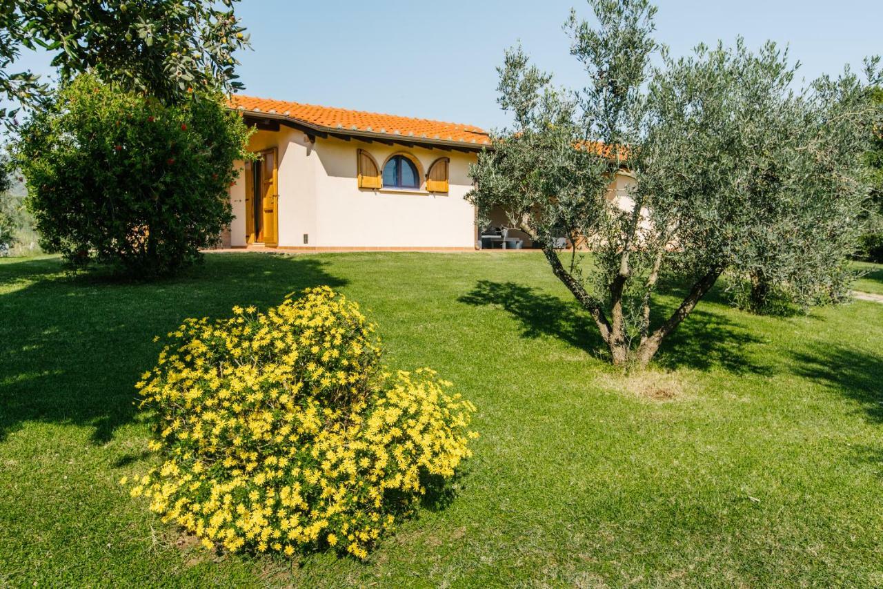 Agriturismo Casa Andreina Castiglione della Pescaia Exteriör bild